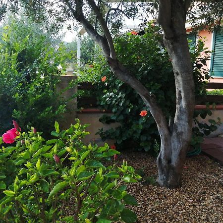 Villa La Casa nel Borgo Chia Esterno foto